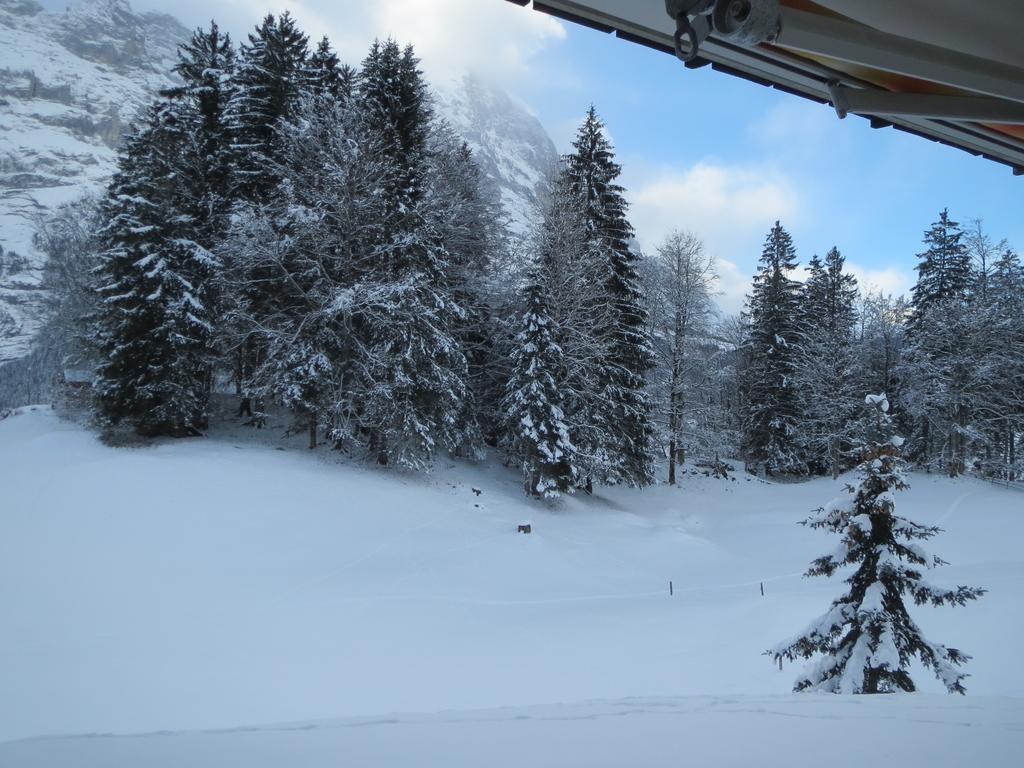 Mom - Alpine Boutique Apartments, Grindelwald Gletscher, Eiger View Terrace Studio Room photo