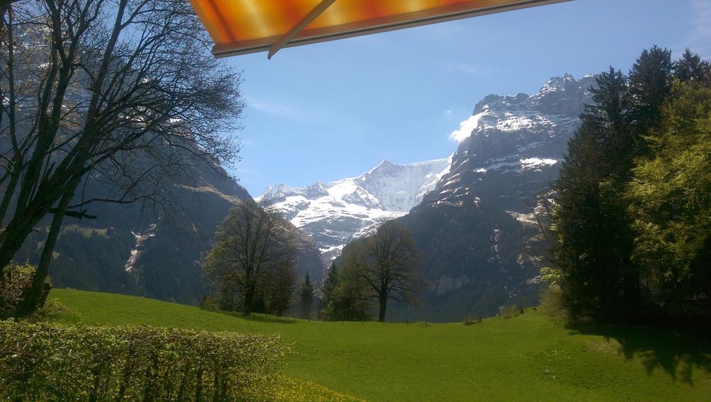 Mom - Alpine Boutique Apartments, Grindelwald Gletscher, Eiger View Terrace Studio Room photo
