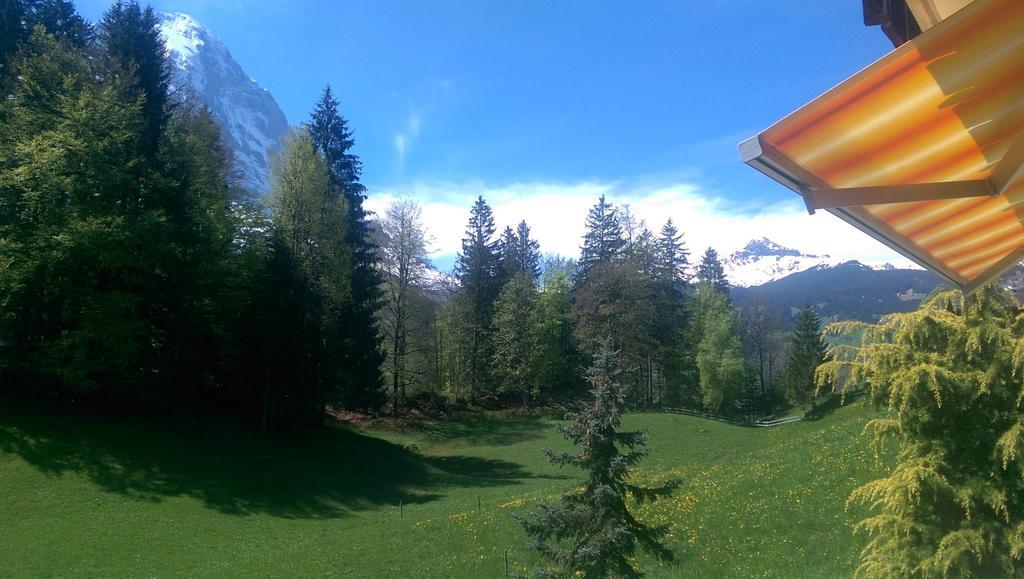 Mom - Alpine Boutique Apartments, Grindelwald Gletscher, Eiger View Terrace Studio Room photo