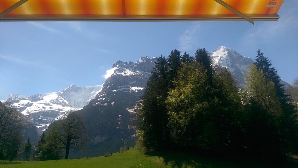 Mom - Alpine Boutique Apartments, Grindelwald Gletscher, Eiger View Terrace Studio Room photo