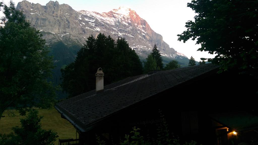 Mom - Alpine Boutique Apartments, Grindelwald Gletscher, Eiger View Terrace Studio Room photo