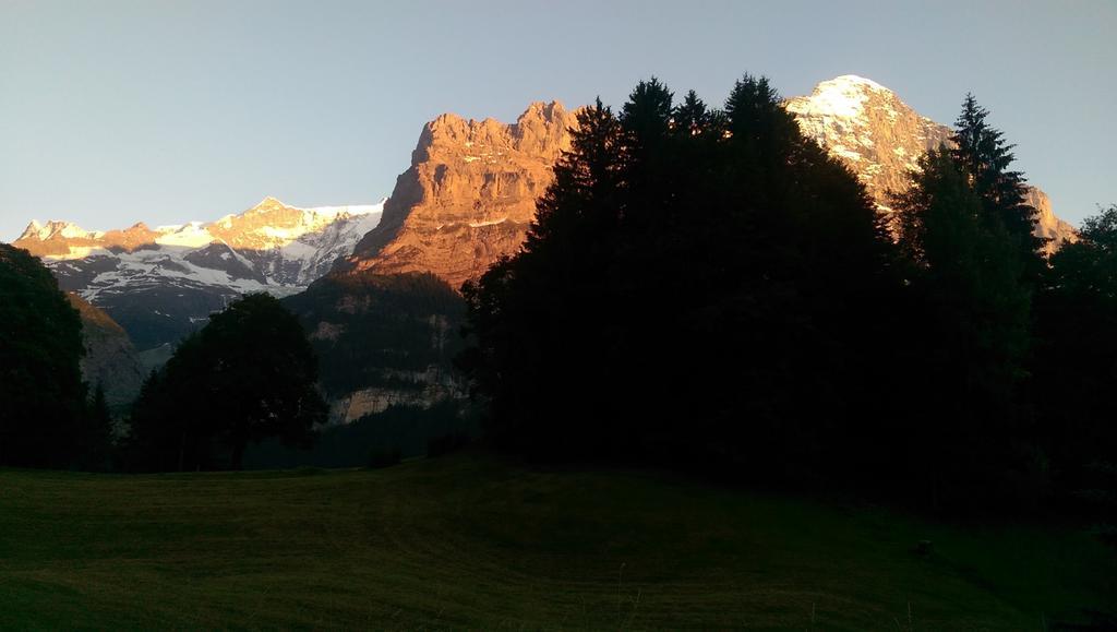 Mom - Alpine Boutique Apartments, Grindelwald Gletscher, Eiger View Terrace Studio Room photo