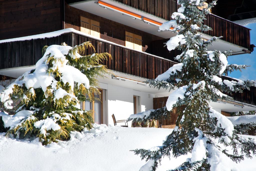 Mom - Alpine Boutique Apartments, Grindelwald Gletscher, Eiger View Terrace Studio Room photo
